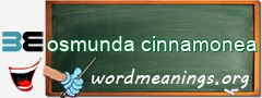 WordMeaning blackboard for osmunda cinnamonea